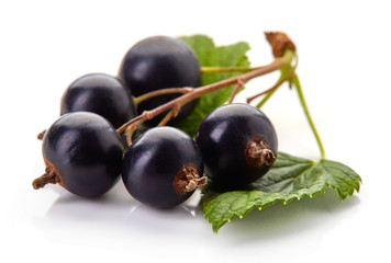 Ripe blackcurrant isolated on white