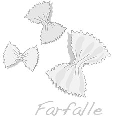 farfalle vector image