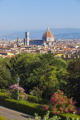 Naklejka premium Toscana,Firenze,