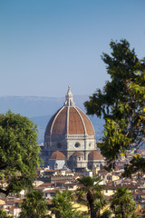 Fototapeta premium Toscana,Firenze,la cupola del Brunelleschi e il duomo.