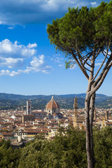 Naklejka premium Toscana,Firenze,