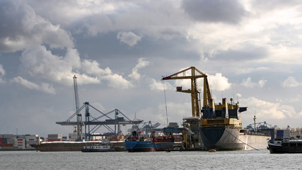 Fototapeta premium Loading and Unloading Shipping Containers in the Port of Rotterd