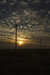 Obraz premium power poles in the field