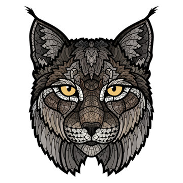 Wildcat lynx mascot isolated head