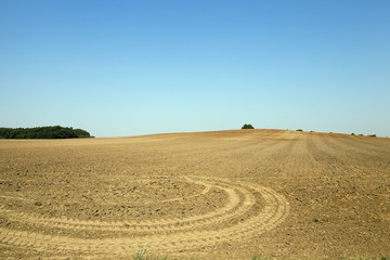 plowed land, summer