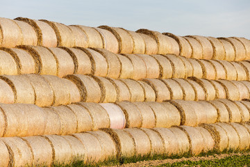 stack of straw in the field