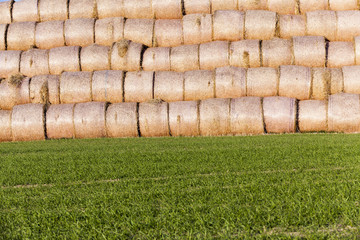 stack of straw in the field