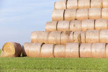 stack of straw in the field
