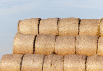 stack of straw in the field