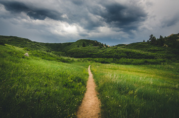 Landscape of a trail leading into field with hills before a storm. - 116437248