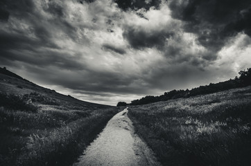 Black and white landscape of a road leading into a grassy field before a storm.