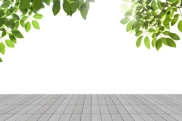 Fresh spring green leaves with  concrete. floor isolated