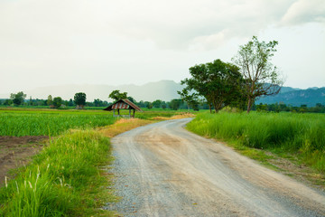 Mountain with blue sky bright with white cloud background