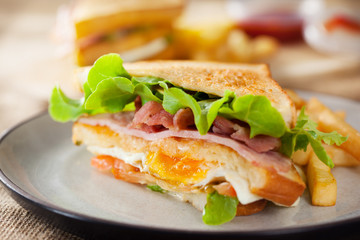 bacon and ham sandwich with french fries in plate