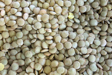 This is a closeup photograph of Green lentils