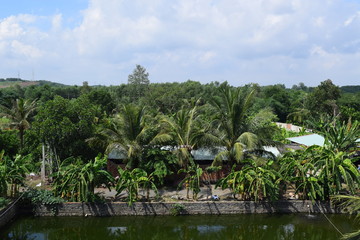 Fototapeta na wymiar Vietnamese countryside with house next to the fishing pond