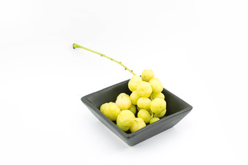 Phyllanthus acidus in Cup, Phyllanthus acidus, known as the Otaheite gooseberry, Malay gooseberry, Tahitian gooseberry, country gooseberry, star gooseberry, starberry
