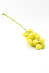 Phyllanthus acidus in Cup, Phyllanthus acidus, known as the Otaheite gooseberry, Malay gooseberry, Tahitian gooseberry, country gooseberry, star gooseberry, starberry
