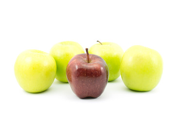 Red and Green Apple Fruit, The apple tree is a deciduous tree in the rose family best known for its sweet, pomaceous fruit, the apple. 
