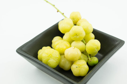 Phyllanthus acidus in Cup, Phyllanthus acidus, known as the Otaheite gooseberry, Malay gooseberry, Tahitian gooseberry, country gooseberry, star gooseberry, starberry
