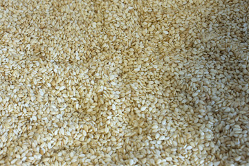 This is a photograph of Sesame seeds