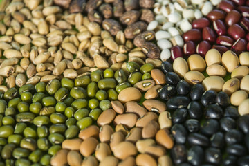 Colorful beans pattern