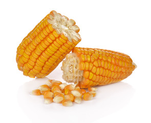 Dried corn kernels isolated on white