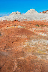 White Pocker, Arizona