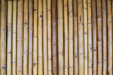 Bamboo Wall textures at field