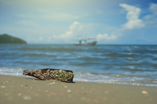 sea acorn colony on a brown glass bottle dumped pollute at the sand beach,blurred sea and blue sky in background,filtered image,selective focus,light effect added