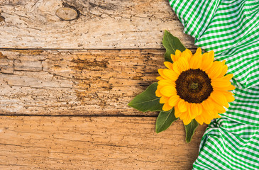 Holz Hintergrund mit Blume und Tischtuch Grün Kariert im Landhausstil