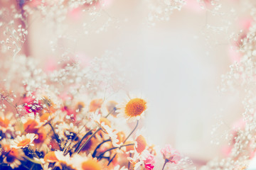 Romantic daisies flowers on light background, floral border, soft focus