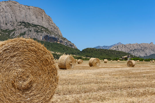 Campos de trigo tras la siega