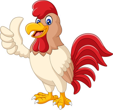 Cartoon rooster giving thumb up

