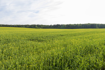 View of farmland.
