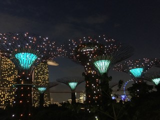 Supertree Grove light show