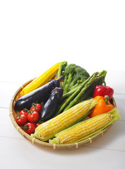 夏野菜の集合イメージ Vegetable set