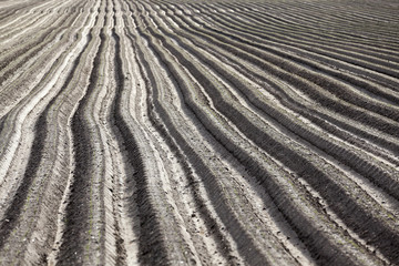 plowed field, furrows