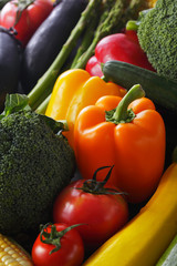 夏野菜イメージ　Summer vegetable set