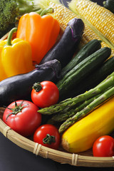 夏野菜イメージ　Summer vegetable set