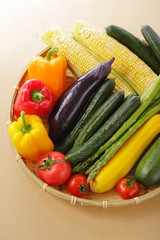 夏野菜イメージ　Summer vegetable set