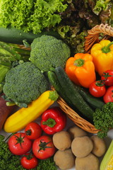 野菜の集合 Vegetable set