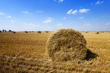 Stack of straw