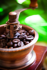Coffee grinder
