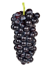 Black grape isolated on the white background
