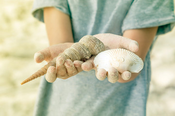Close up of a little girl holding sea shells in her hands