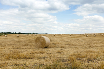 stack of wheat straw