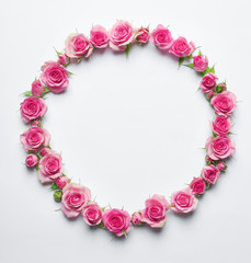 Assorted roses heads on white background