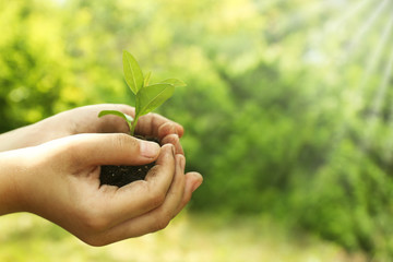 Child holding soil and plant in hands outdoor