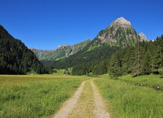 Naklejka premium Trail in the Oberseetal and Mt Brunnelistock